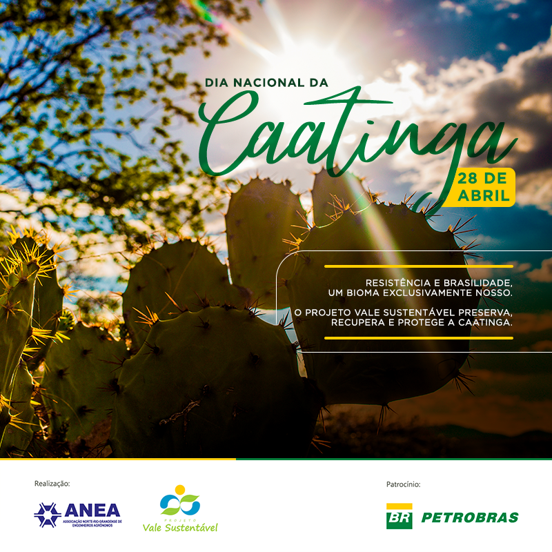 28 De Abril Dia Nacional Do Bioma Caatinga Projeto Vale Sustentável 7998